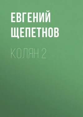 Литагент Щепетнов Евгений Колян 2 обложка книги