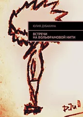 Юлия Дубакина - Встречи на вольфрамовой нити