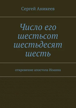 Сергей Аникеев Число его шестьсот шестьдесят шесть. откровение апостола Иоанна обложка книги