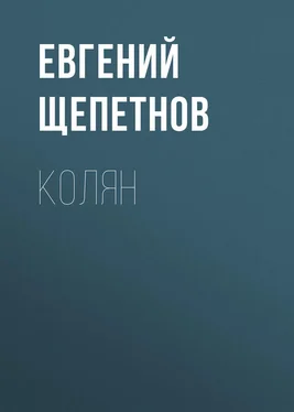 Литагент Щепетнов Евгений Колян обложка книги