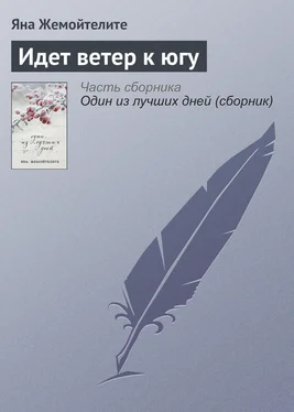 Яна Жемойтелите Идет ветер к югу обложка книги