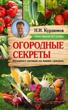 Николай Курдюмов Огородные секреты большого урожая на ваших грядках обложка книги