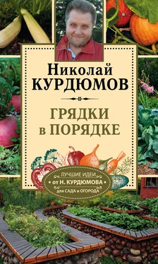 Николай Курдюмов Грядки в порядке обложка книги