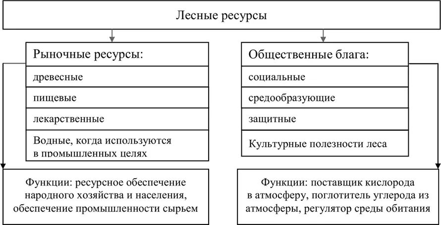 Рисунок 1 Категории и функции лесных ресурсов Первая категория рыночные - фото 3