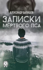 Александр Балашов - Записки мёртвого пса
