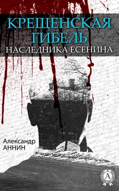 Александр Аннин Крещенская гибель наследника Есенина обложка книги