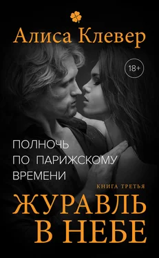 Алиса Клевер Полночь по парижскому времени. Журавль в небе обложка книги