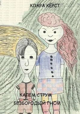 Клара Кёрст Калем Струм. Безбородый гном обложка книги