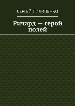 Сергей Пилипенко Ричард – герой полей обложка книги