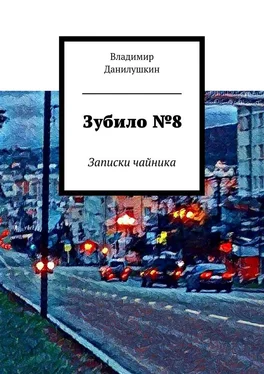 Владимир Данилушкин Зубило №8. Записки чайника обложка книги