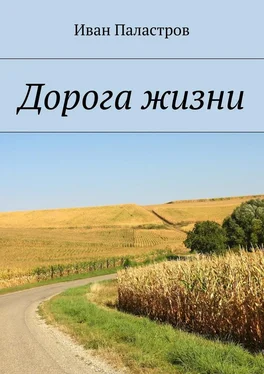 Иван Паластров Дорога жизни обложка книги