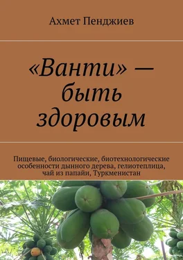 Ахмет Пенджиев «Ванти» – быть здоровым. Пищевые, биологические, биотехнологические особенности дынного дерева, гелиотеплица, чай из папайи, Туркменистан обложка книги