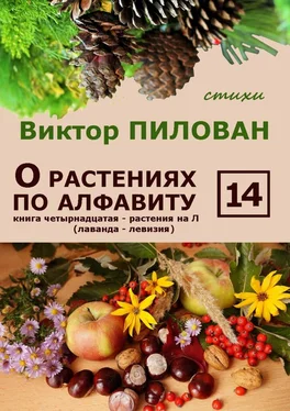 Виктор Пилован О растениях по алфавиту. Книга четырнадцатая. Растения на Л (лаванда – левизия) обложка книги