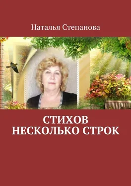 Наталья Степанова Стихов несколько строк обложка книги