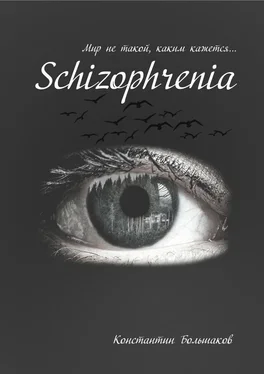 Константин Большаков Schizophrenia. Мир не такой, каким кажется обложка книги