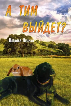 Наталья Нецкая А Тим выйдет? обложка книги