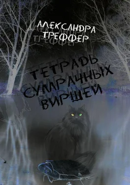 Александра Треффер Тетрадь сумрачных виршей. Стихотворения разных лет. Авторская песня обложка книги