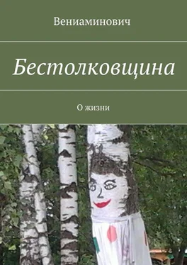 Вениаминович Бестолковщина. О жизни обложка книги