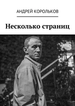 Андрей Корольков Несколько страниц обложка книги
