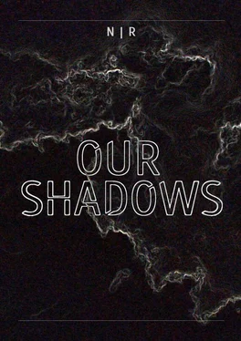 N Our Shadows обложка книги