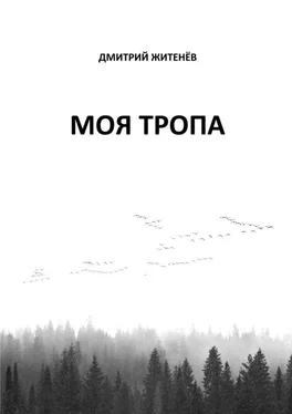 Дмитрий Житенёв Моя тропа обложка книги