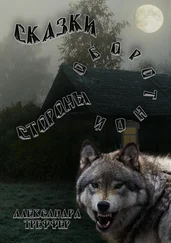 Александра Треффер - Сказки оборотной стороны. серия рассказов