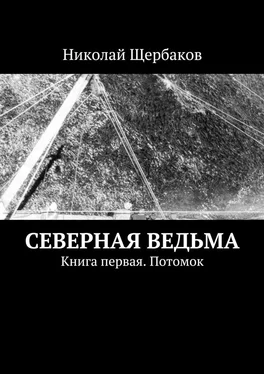 Николай Щербаков Северная ведьма. Книга первая. Потомок обложка книги