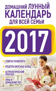 Нина Виноградова Домашний лунный календарь для всей семьи 2017