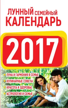 Нина Виноградова Лунный семейный календарь 2017 обложка книги