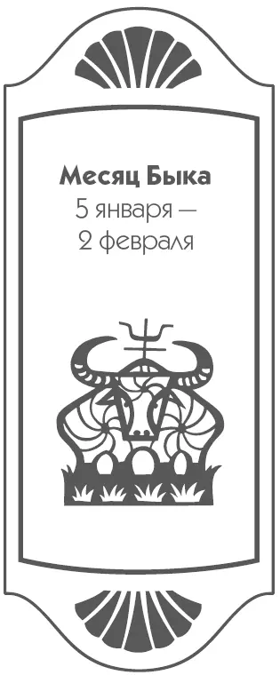 5 января четверг IV Пин Равновесие Благоприятнопродолжение начатых - фото 19