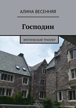 Алина Весенняя Господин. Эротический триллер обложка книги