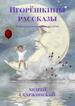 Андрей Скаржинский Игорёшкины рассказы. Юмористические рассказы для детей обложка книги