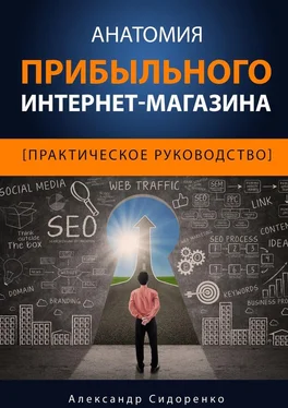 Александр Сидоренко Анатомия прибыльного интернет-магазина обложка книги