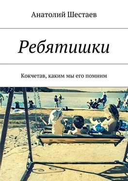 Анатолий Шестаев Ребятишки. Кокчетав, каким мы его помним обложка книги