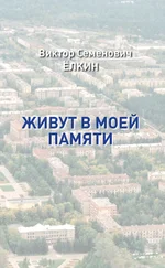 Виктор Елкин - Живут в моей памяти (сборник)