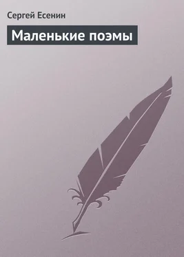 Сергей Есенин Маленькие поэмы обложка книги