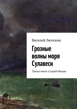 Василий Лягоскин Грозные волны моря Сулавеси. Третья книга о Серой Мышке обложка книги