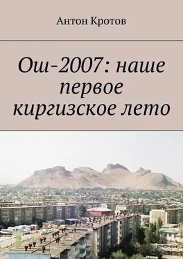 Антон Кротов Ош-2007: наше первое киргизское лето обложка книги