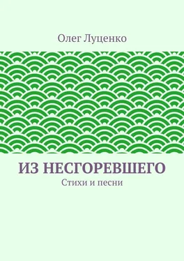 Олег Луценко Из несгоревшего. Стихи и песни обложка книги