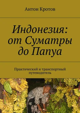 Антон Кротов Индонезия: от Суматры до Папуа. Практический и транспортный путеводитель обложка книги