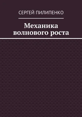 Сергей Пилипенко Механика волнового роста обложка книги