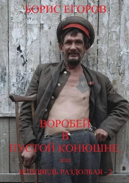 Борис Егоров Воробей в пустой конюшне, или Исповедь раздолбая – 2 обложка книги
