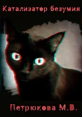 Маргарита Петрюкова - Катализатор безумия