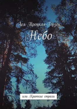 Ася Троцкая-Герзон Небо. или Краткие страхи обложка книги