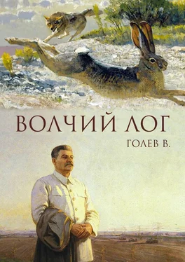 Валерий Голев Волчий лог обложка книги