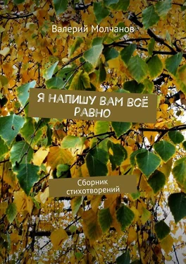 Валерий Молчанов Я напишу вам всё равно. Сборник стихотворений обложка книги