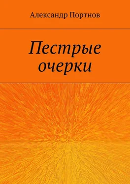 Александр Портнов Пестрые очерки обложка книги