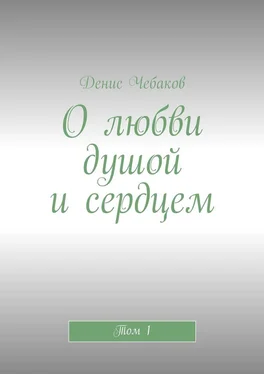 Денис Чебаков О любви душой и сердцем. Том 1 обложка книги