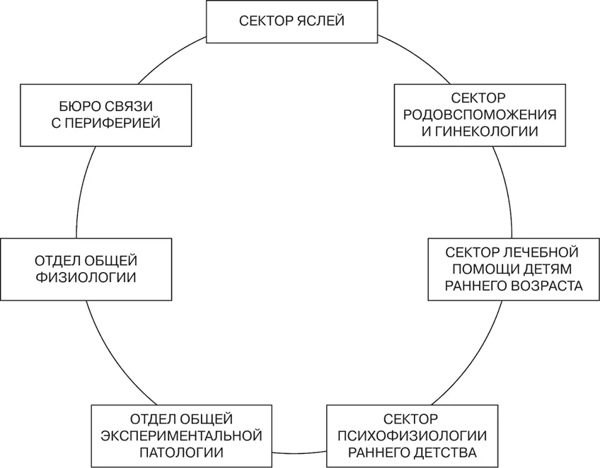 Рис 3 Структура ГНИОММ 1932 г 1 Сектор яслей 2 Сектор родовспоможения - фото 3