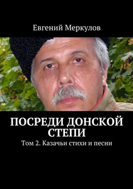 Евгений Меркулов Посреди донской степи обложка книги